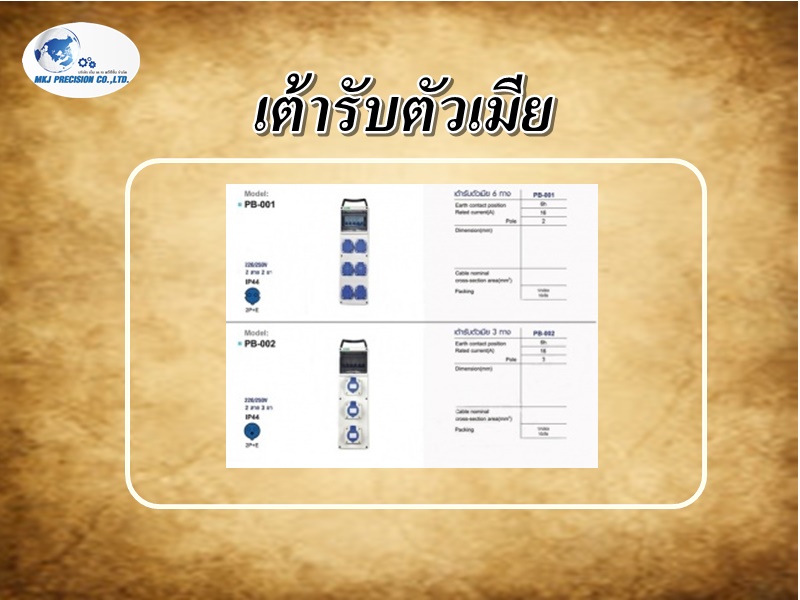 เต้ารับตัวเมีย