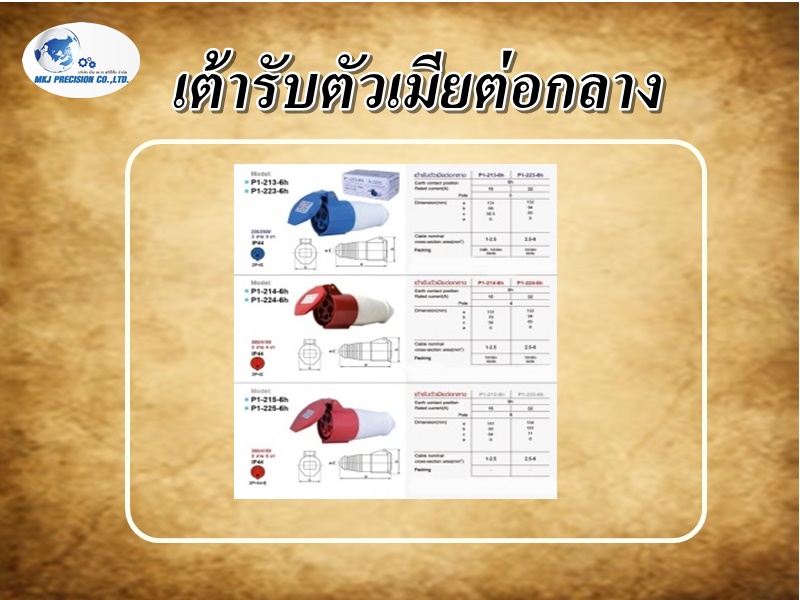 เต้ารับตัวเมียต่อกลาง