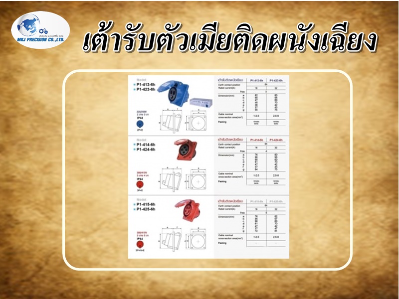 เต้ารับตัวเมียติดผนังเฉียง