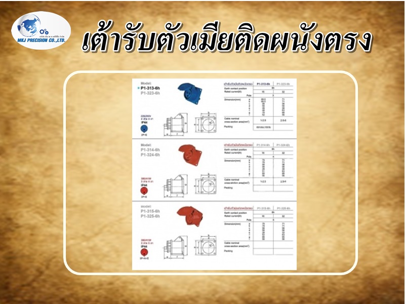 เต้ารับตัวเมียติดผนังตรง