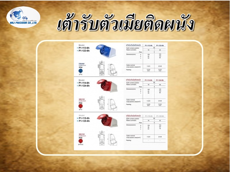 เต้ารับตัวเมียติดผนัง