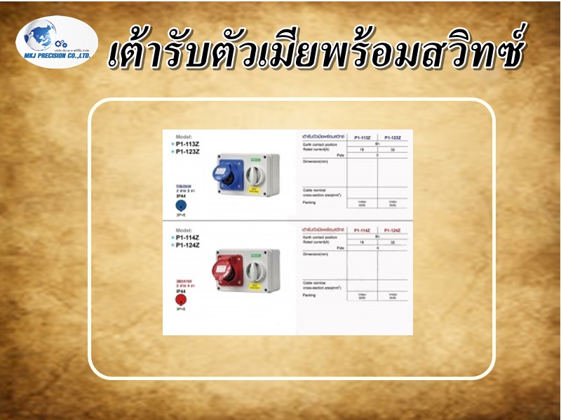 เต้ารับตัวเมียพร้อมสวิทซ์