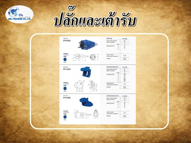 ปลั๊กและเต้ารับ